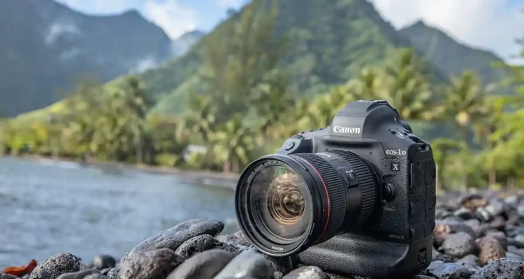Rekomendasi DSLR Profesional untuk Fotografer Serius