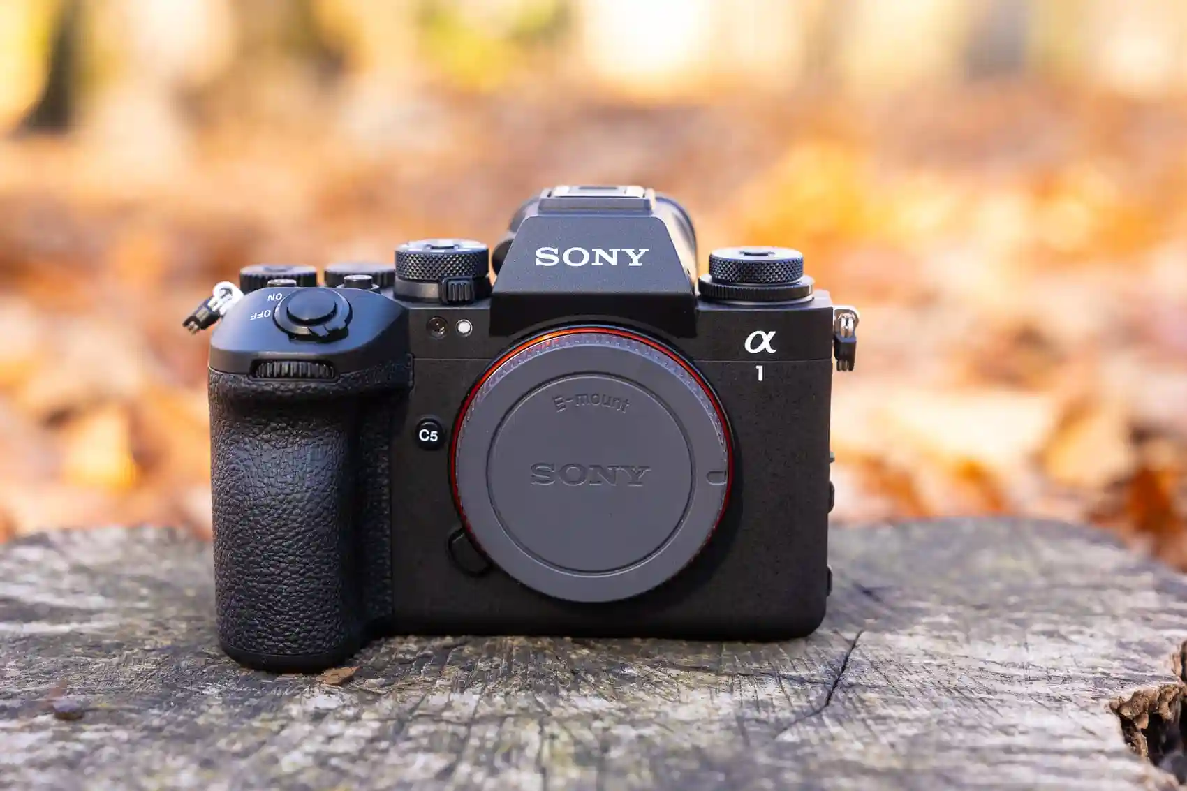 Kamera Mirrorless Paling Canggih 2025: Era Baru Fotografi Tanpa Batas